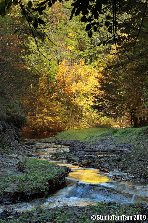 Il tesoro del torrente.jpg